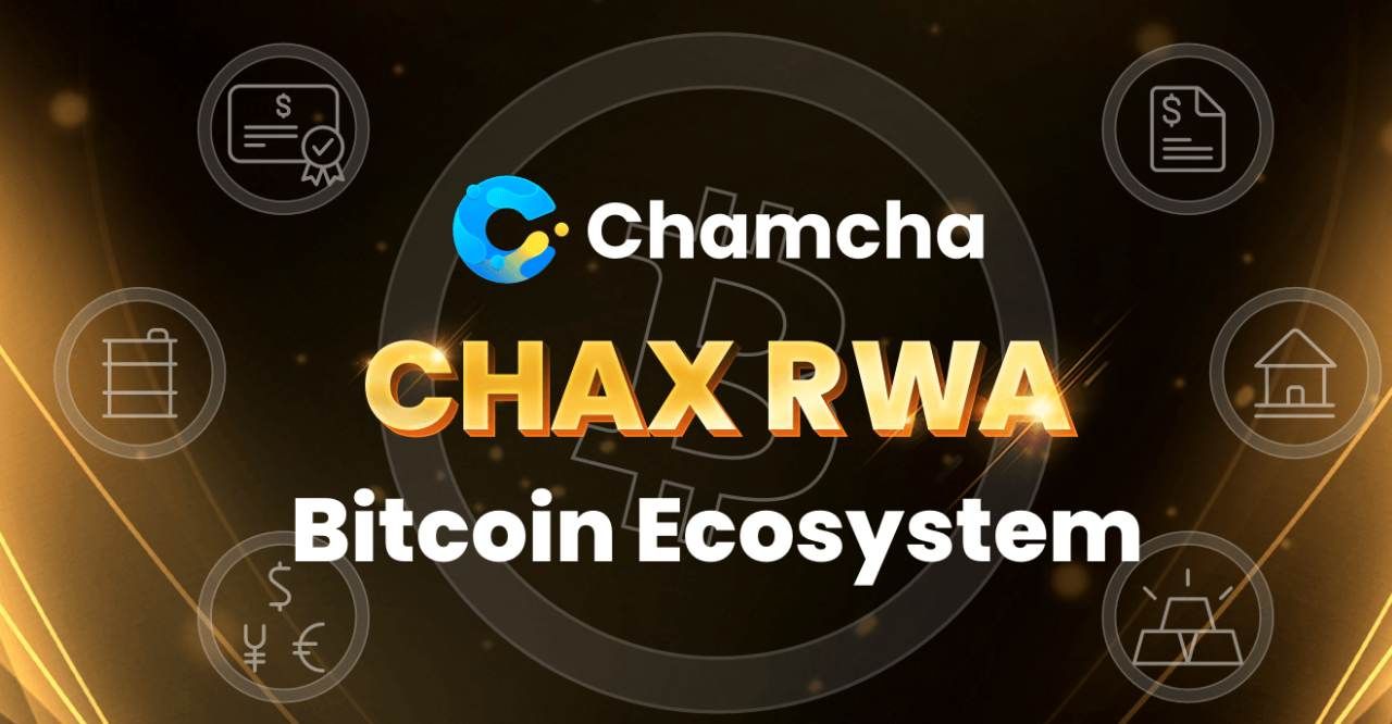Chamcha là một dự án DeFi đầy tham vọng