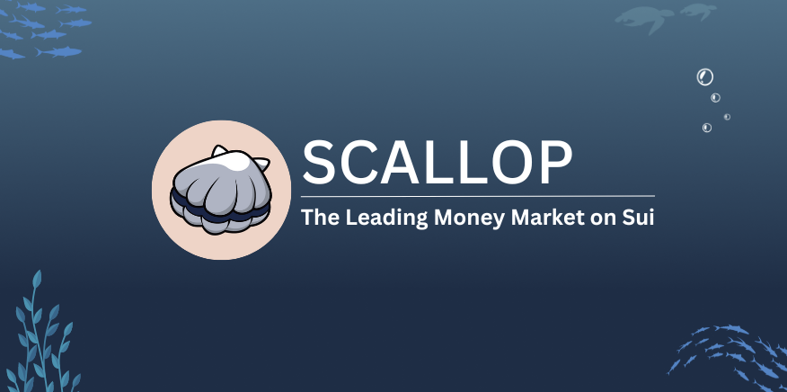 Scallop là dự án đầu tiên nhận được nguồn tài trợ chính thức từ Sui Foundation