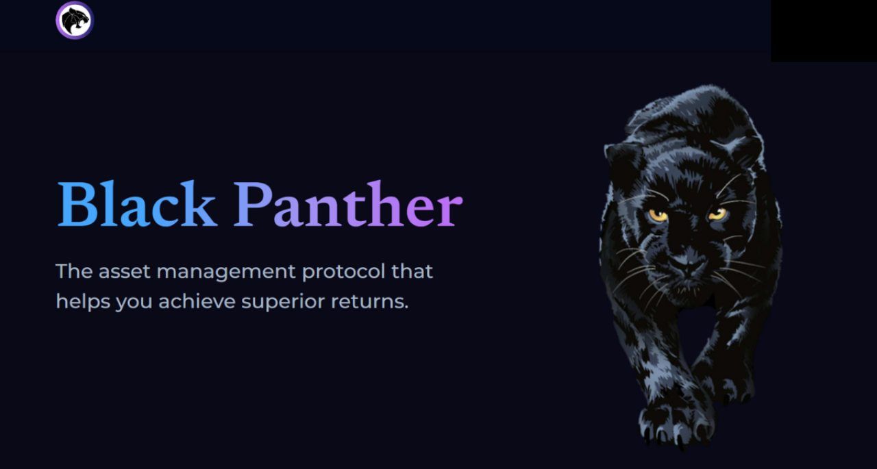 Dự án Black Panther
