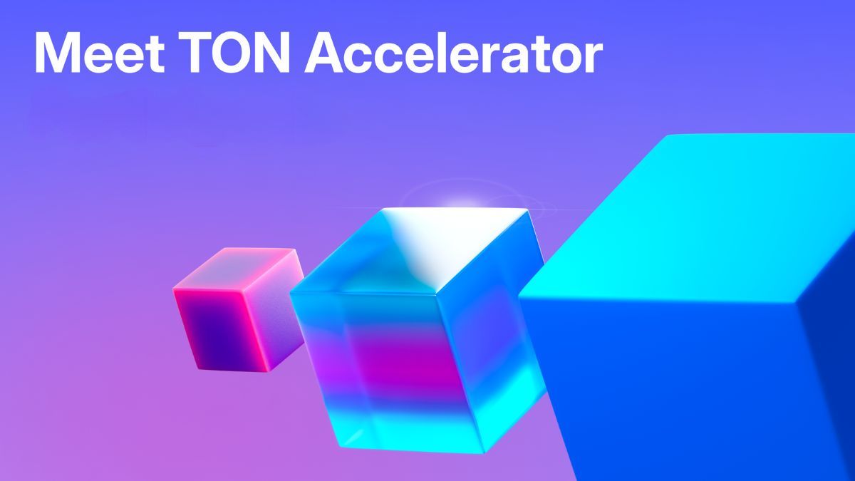 Chương trình TON Accelerator