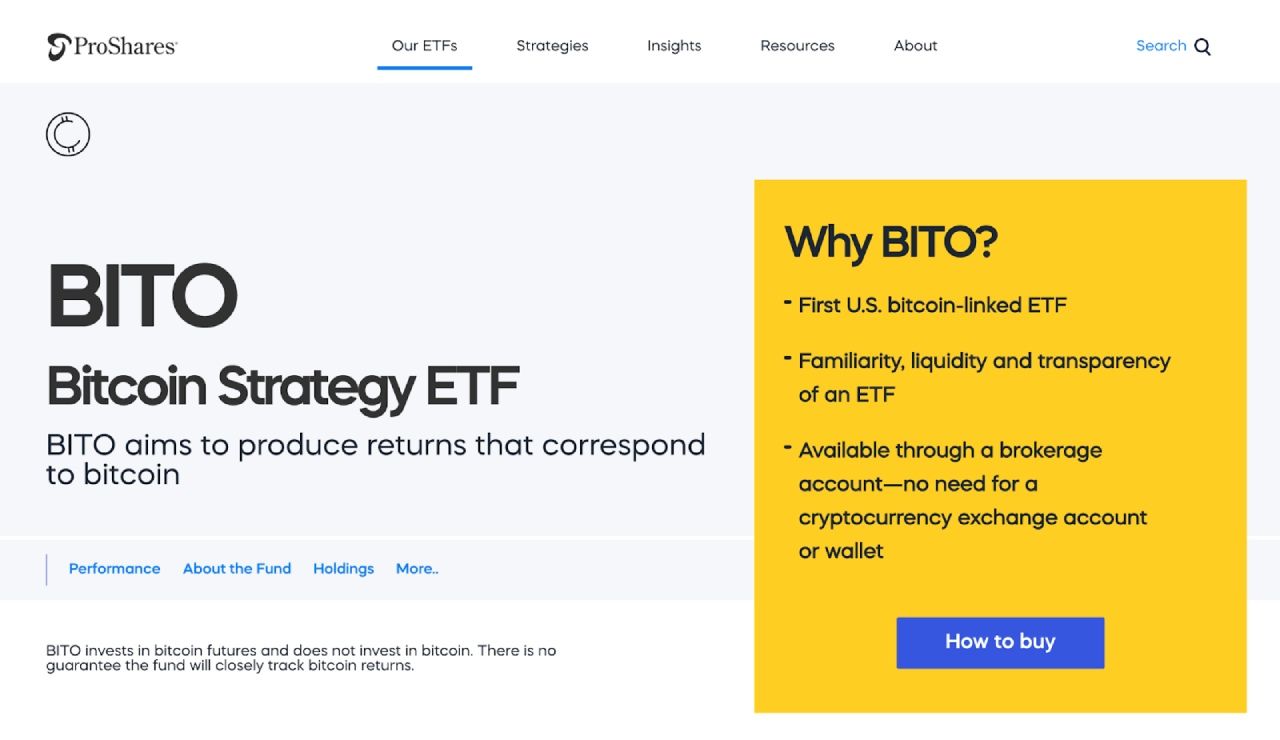 Trang chủ của Bitcoin Strategy ETF
